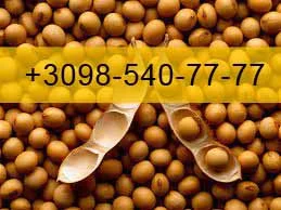 Купую Сою врожай 2023 - фото № 1