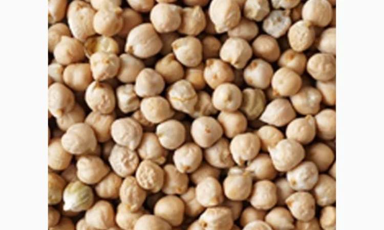 Закупаем оптом сою по выгодным ценам - фото № 1