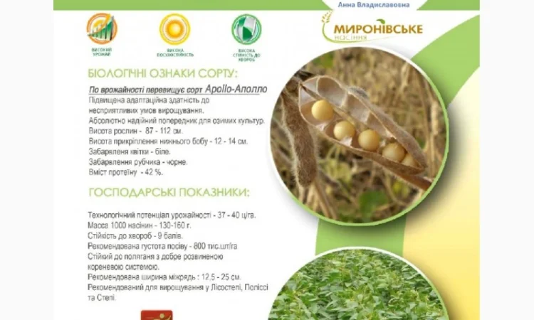 Семена сои под Раундап - Максус; Монро; Сенсор; Ультра, Венус - 1 репродукция - фото № 1