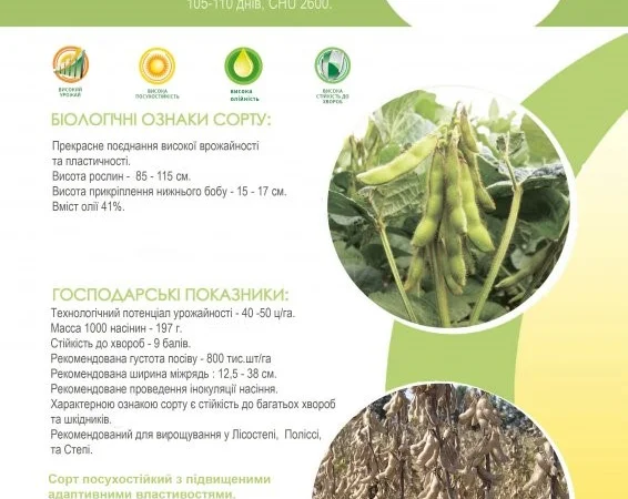 Семена сои под Раундап - Максус; Монро; Сенсор; Ультра, Венус - 1 репродукция - фото № 2
