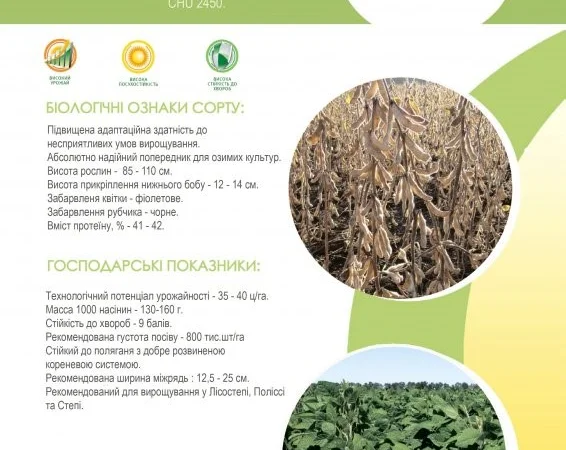 Семена сои под Раундап - Максус; Монро; Сенсор; Ультра, Венус - 1 репродукция - фото № 3