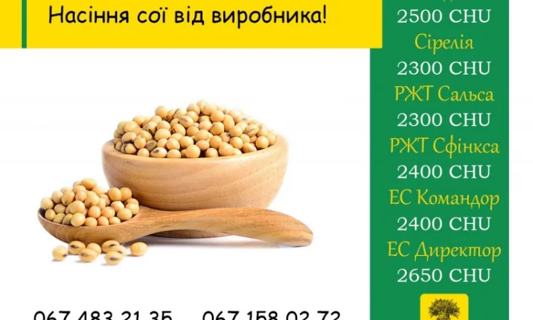 Продаж насіння сої, 1-ша репродукція - фото № 1