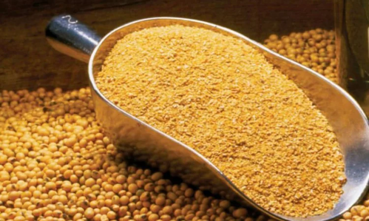 Купуємо сою. Нового урожю - фото № 1