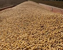 Купуємо сою. Нового урожю - фото № 2