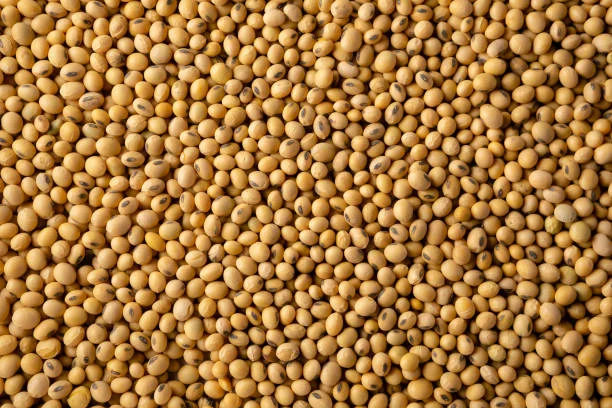 Закуповуємо сою. Самовивіз - фото № 1