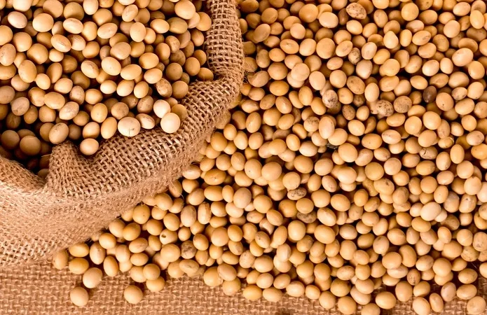 Куплю сою опт - фото № 1