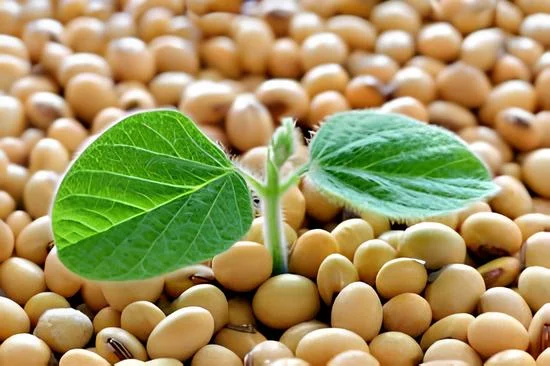 Куплю СОЮ з місця - фото № 1