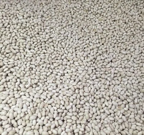 Закупаем Фасоль, Половинки фасоли - фото № 1