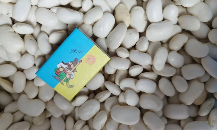 Продажа квасолі різних сортів - фото № 1