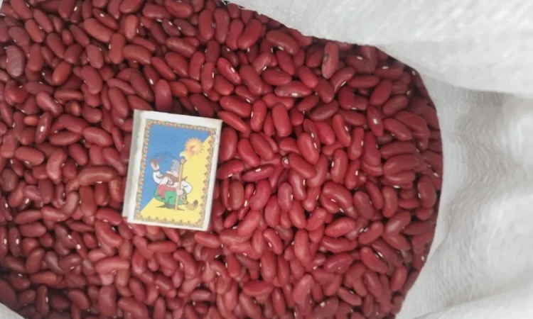 Продажа квасолі різних сортів - фото № 2