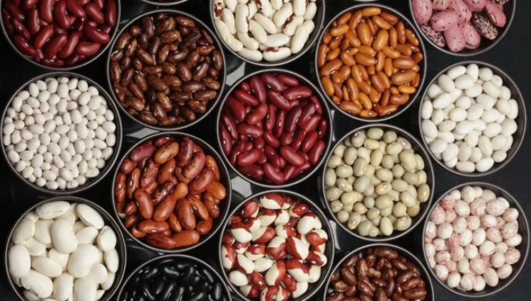 Продам Фасоль/Квасоля в асортименті ОПТ - фото № 1