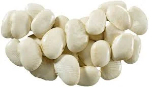 Насіння дрібної білої квасолі. Посівна біла квасоля - фото № 1