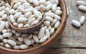 Купую квасолю на переробку - фото № 1