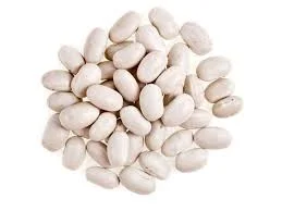 Насіння квасолі білої. Посівна біла квасоля - фото № 1