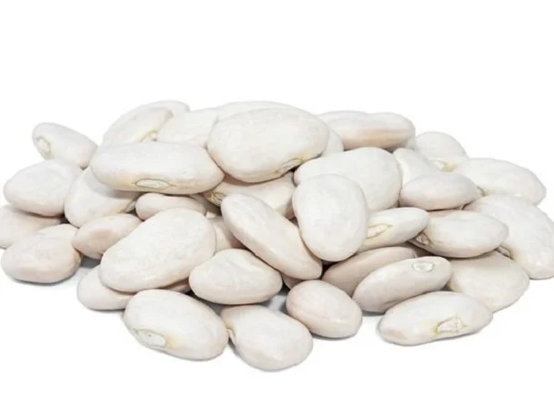 Куплю белую фасоль от 10 тонн - фото № 1
