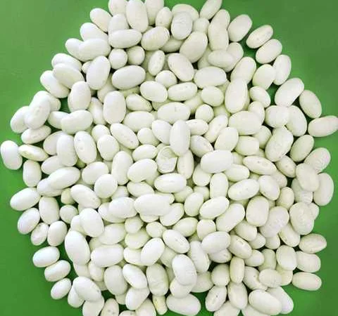 Куплю квасолю білу Монро - фото № 1