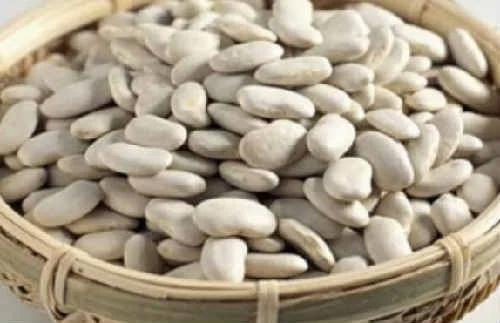 Купуємо білі сорти квасолі на переробку - фото № 1