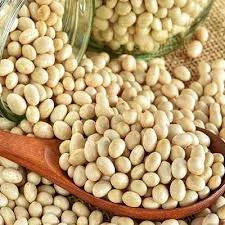 Закупаем фасоль оптом - фото № 1