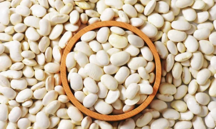 Закуповуємо квасолю від 5т. Самовивіз - фото № 1