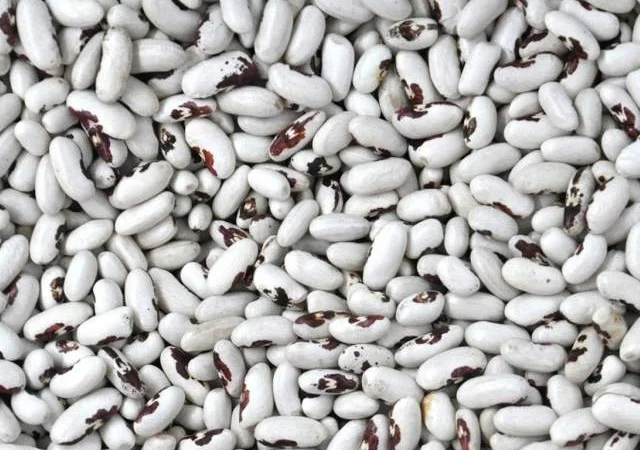 Фасоль различных сортов с доставкой по Украине - фото № 1