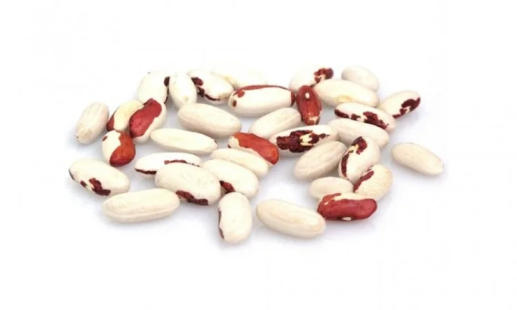 Покупаем оптом фасоль - фото № 1