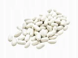 Закуповуємо квасолю білих сортів - фото № 1