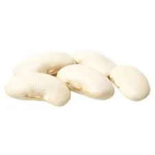 Насіння квасолі сортів НЕВІ БІНС та МЕРЛІН. Посівна квасоля біла - фото № 1