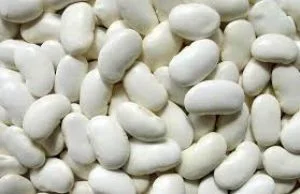 Купуємо оптом білу квасолю на консервування - фото № 1