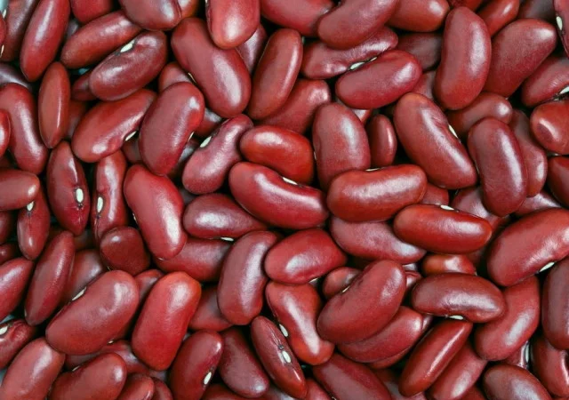 Продаємо квасолю сортову (в асортименті) - фото № 1