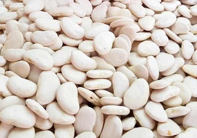 Високоякісна сортова квасоля (20 сортів в наявності) - фото № 1