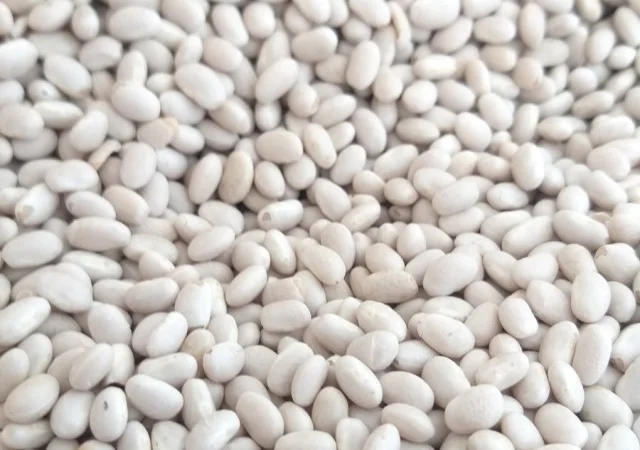 Фасоль сортовая с доставкой по Украине (в ассортименте) - фото № 1