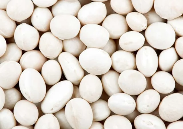 Продам Фасоль - фото № 2