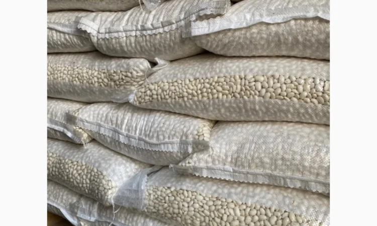 Продам квасолю Бандоля біла - фото № 1