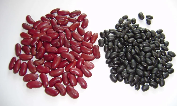 Фасоль из Аргентины - фото № 3