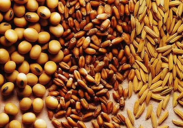 Закупівля зернових, бобових. Закупівля некондиції, зерновідходів - фото № 1