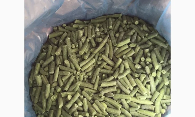 Фасоль стручковая 20-40, 1 сорт, ш/з, в продаже - фото № 1