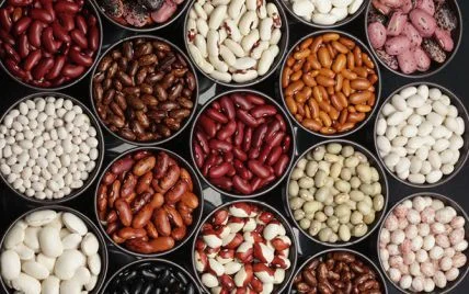 Куплю квасолю - фото № 1