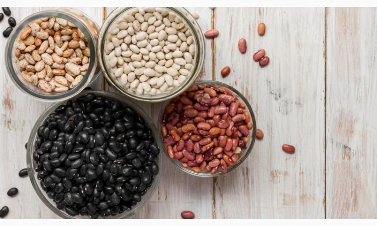 Фасоль сортовая - фото № 1