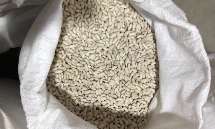 Продам фасоль белую длинную - фото № 2