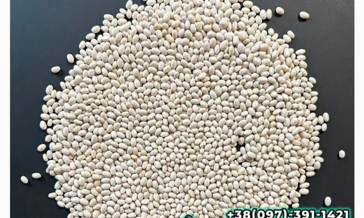 Квасоля Насіння Мавка Невібінс Лаура - фото № 1