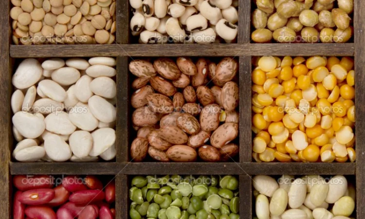 КВАСОЛЯ в асортименті - фото № 3