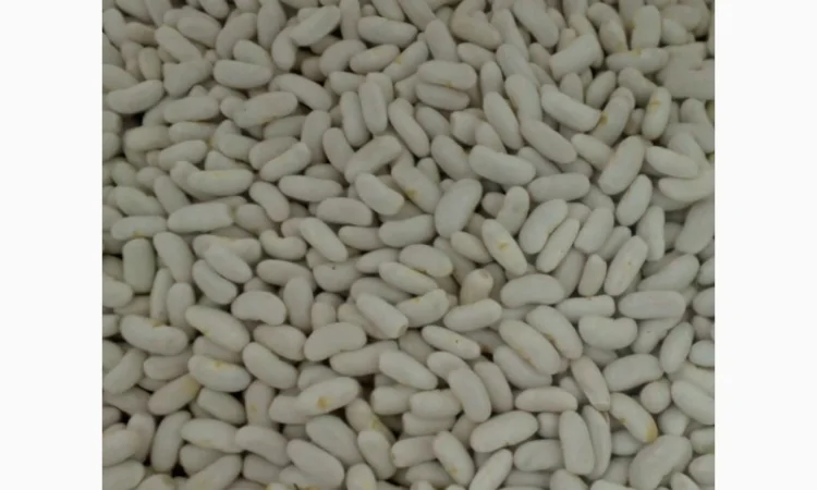 Продам квасолю - фото № 3