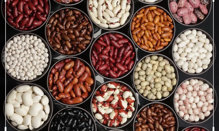 Продам фасоль, Винница - фото № 1