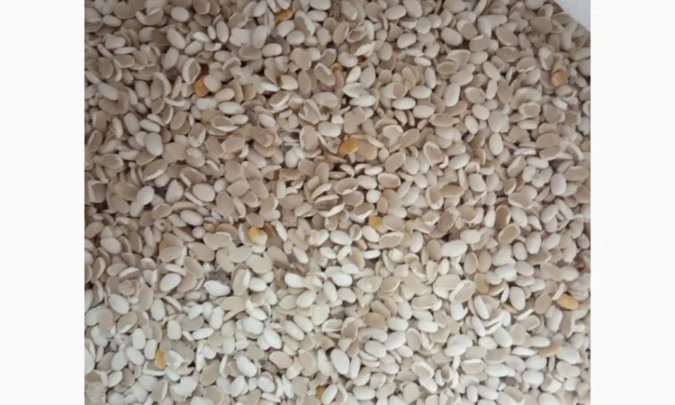 Продаємо квасолю на корм тваринам - фото № 3