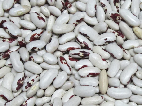 Закуповуємо гуртом - фото № 11