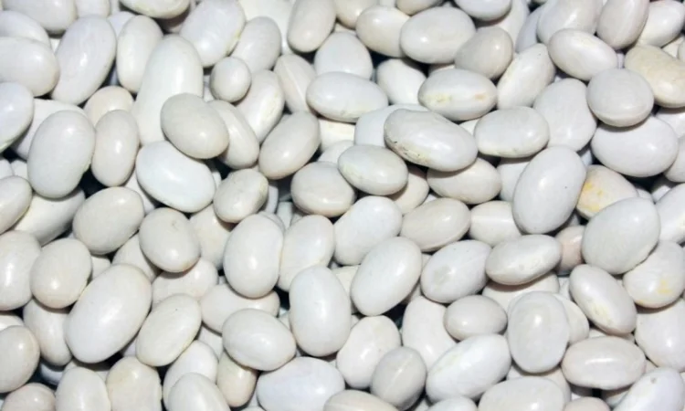 Закуповуємо гуртом - фото № 12