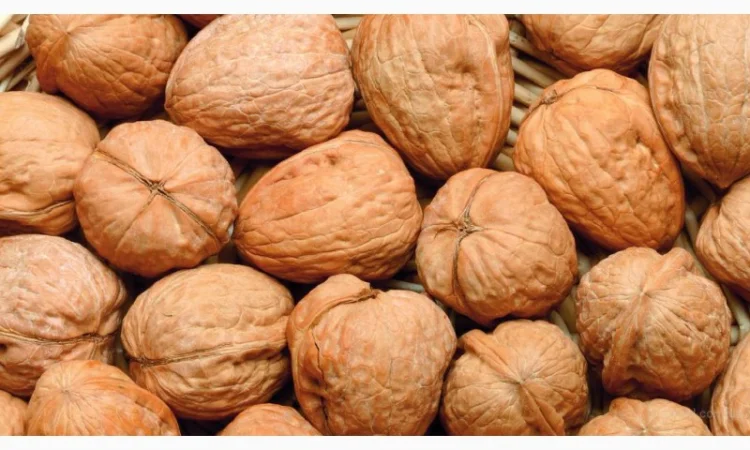 Закуповуємо гуртом - фото № 14