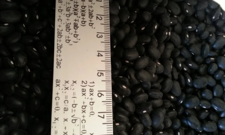 Закуповуємо гуртом - фото № 15