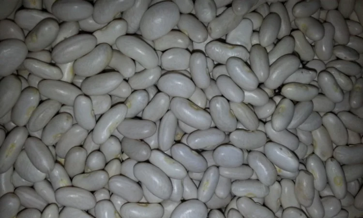 Закуповуємо гуртом - фото № 5