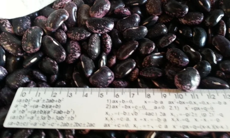 Закуповуємо гуртом - фото № 7